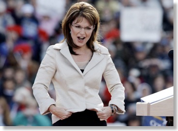 palin campaign