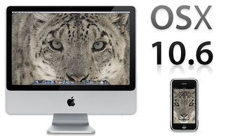 snow leopard